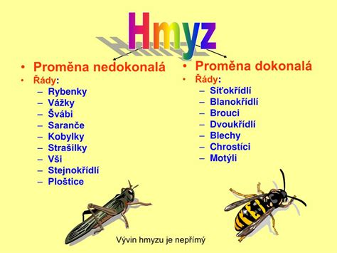 proměna dokonalá a nedokonalá rozdíl|6. třída Př, 44